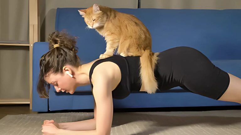 The Workout Trick No One’s Told You (Because They Secretly Enjoy Watching You Suffer)